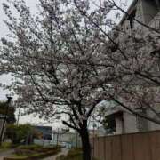 ヒメ日記 2026/04/05 22:36 投稿 たかこ 妻天 梅田店