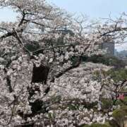 ヒメ日記 2025/04/10 13:23 投稿 中村‐なかむら‐ ミセスまーと