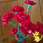 ヒメ日記 2025/05/11 11:51 投稿 中村‐なかむら‐ ミセスまーと