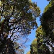 ヒメ日記 2025/01/26 12:06 投稿 静香(しずか) 人妻出逢い会 百合の園 品川店