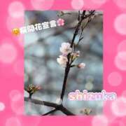 ヒメ日記 2025/03/25 21:36 投稿 静香(しずか) 人妻出逢い会 百合の園 品川店