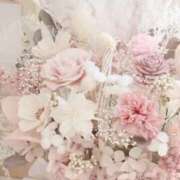 ヒメ日記 2025/12/04 10:28 投稿 夢野 熟女の風俗最終章 新横浜店