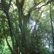 ヒメ日記 2025/05/07 09:40 投稿 さきの もしも素敵な妻が指輪をはずしたら・・・