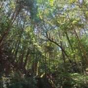 ヒメ日記 2025/08/03 09:40 投稿 さきの もしも素敵な妻が指輪をはずしたら・・・