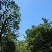 ヒメ日記 2025/08/21 09:44 投稿 さきの もしも素敵な妻が指輪をはずしたら・・・