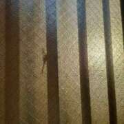 ヒメ日記 2025/09/07 08:40 投稿 さきの もしも素敵な妻が指輪をはずしたら・・・