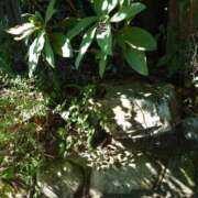 ヒメ日記 2025/09/14 09:50 投稿 さきの もしも素敵な妻が指輪をはずしたら・・・