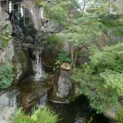 ヒメ日記 2025/09/17 09:40 投稿 さきの もしも素敵な妻が指輪をはずしたら・・・