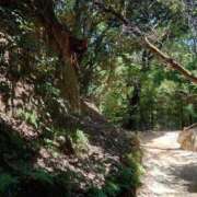 ヒメ日記 2025/09/24 09:46 投稿 さきの もしも素敵な妻が指輪をはずしたら・・・