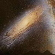 ヒメ日記 2025/11/22 09:50 投稿 さきの もしも素敵な妻が指輪をはずしたら・・・