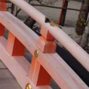 ヒメ日記 2026/04/25 09:50 投稿 さきの もしも素敵な妻が指輪をはずしたら・・・