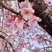 ヒメ日記 2025/02/18 19:20 投稿 かすみ もしも素敵な妻が指輪をはずしたら・・・