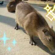 ヒメ日記 2025/02/07 16:56 投稿 こい 妻天 日本橋店