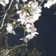 ヒメ日記 2025/04/07 10:07 投稿 こい 妻天 日本橋店