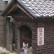 ヒメ日記 2025/05/20 10:22 投稿 こい 妻天 日本橋店