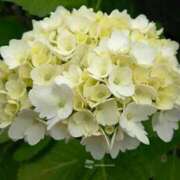 ヒメ日記 2025/06/09 11:49 投稿 こい 妻天 日本橋店