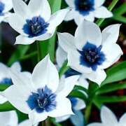 ヒメ日記 2025/06/30 21:54 投稿 こい 妻天 日本橋店