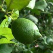 ヒメ日記 2025/08/18 16:24 投稿 こい 妻天 日本橋店