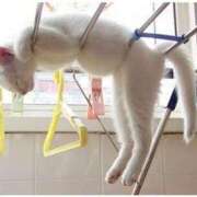 ヒメ日記 2025/10/06 17:15 投稿 こい 妻天 日本橋店