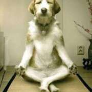 ヒメ日記 2025/10/15 21:57 投稿 こい 妻天 日本橋店