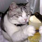 ヒメ日記 2025/10/24 22:33 投稿 こい 妻天 日本橋店