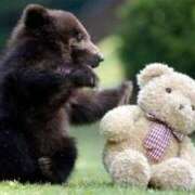 ヒメ日記 2025/11/05 20:30 投稿 こい 妻天 日本橋店