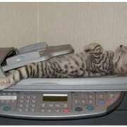 ヒメ日記 2025/11/27 19:09 投稿 こい 妻天 日本橋店