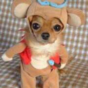 ヒメ日記 2025/12/23 21:24 投稿 こい 妻天 日本橋店