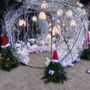 ヒメ日記 2025/12/24 10:01 投稿 こい 妻天 日本橋店