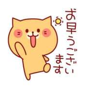 ヒメ日記 2026/03/26 08:33 投稿 こい 妻天 日本橋店