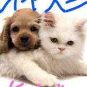 ヒメ日記 2026/04/13 21:59 投稿 こい 妻天 日本橋店