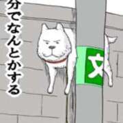 ヒメ日記 2026/04/15 12:07 投稿 こい 妻天 日本橋店