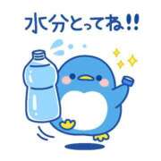 ヒメ日記 2026/06/11 12:19 投稿 こい 妻天 日本橋店