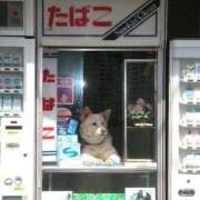 ヒメ日記 2026/08/15 18:24 投稿 こい 妻天 日本橋店