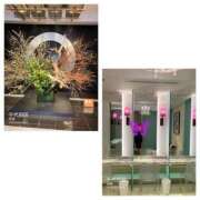 ヒメ日記 2025/01/22 23:46 投稿 島崎(しまざき) 人妻出逢い会 百合の園 品川店