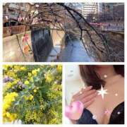 ヒメ日記 2025/03/22 18:06 投稿 島崎(しまざき) 人妻出逢い会 百合の園 品川店