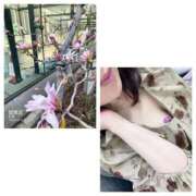 ヒメ日記 2025/03/23 19:26 投稿 島崎(しまざき) 人妻出逢い会 百合の園 品川店