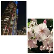 ヒメ日記 2025/04/17 23:07 投稿 島崎(しまざき) 人妻出逢い会 百合の園 品川店