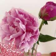 ヒメ日記 2025/05/21 12:36 投稿 島崎(しまざき) 人妻出逢い会 百合の園 品川店