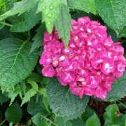 ヒメ日記 2025/06/25 10:56 投稿 島崎(しまざき) 人妻出逢い会 百合の園 品川店