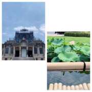 ヒメ日記 2025/06/27 16:16 投稿 島崎(しまざき) 人妻出逢い会 百合の園 品川店