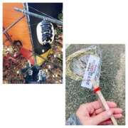 ヒメ日記 2025/11/12 16:56 投稿 島崎(しまざき) 人妻出逢い会 百合の園 品川店