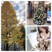 ヒメ日記 2025/12/09 19:56 投稿 島崎(しまざき) 人妻出逢い会 百合の園 品川店