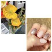 ヒメ日記 2026/02/11 08:46 投稿 島崎(しまざき) 人妻出逢い会 百合の園 品川店