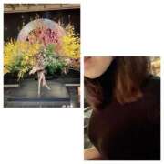 ヒメ日記 2026/02/12 18:36 投稿 島崎(しまざき) 人妻出逢い会 百合の園 品川店