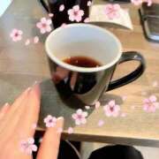ヒメ日記 2026/03/25 15:26 投稿 島崎(しまざき) 人妻出逢い会 百合の園 品川店