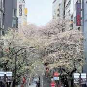 ヒメ日記 2026/04/04 19:16 投稿 島崎(しまざき) 人妻出逢い会 百合の園 品川店