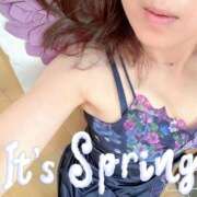 ヒメ日記 2026/04/17 21:36 投稿 島崎(しまざき) 人妻出逢い会 百合の園 品川店