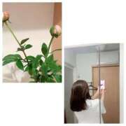 ヒメ日記 2026/04/22 19:16 投稿 島崎(しまざき) 人妻出逢い会 百合の園 品川店