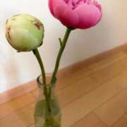 ヒメ日記 2026/05/19 08:06 投稿 島崎(しまざき) 人妻出逢い会 百合の園 品川店